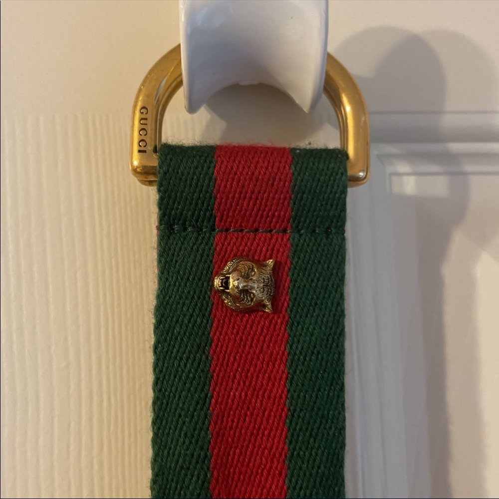 Angry Cat Gucci Belt